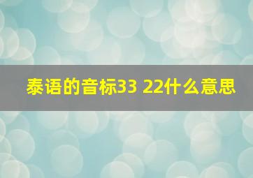 泰语的音标33 22什么意思